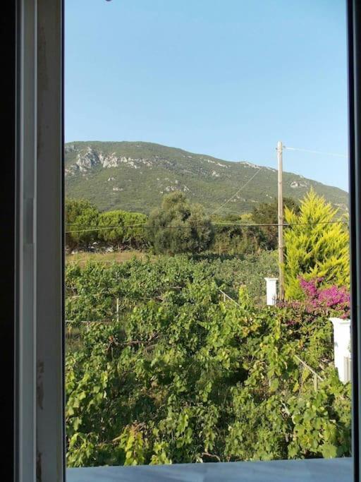Corfu Sea Front Apartment, The Nest Holiday home *